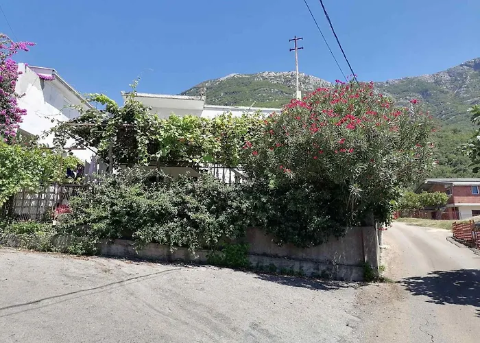 Vesela Vila